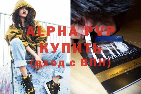 ПСИЛОЦИБИНОВЫЕ ГРИБЫ Коряжма