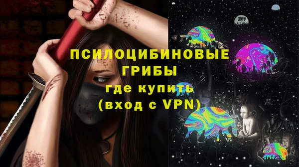 ПСИЛОЦИБИНОВЫЕ ГРИБЫ Коряжма