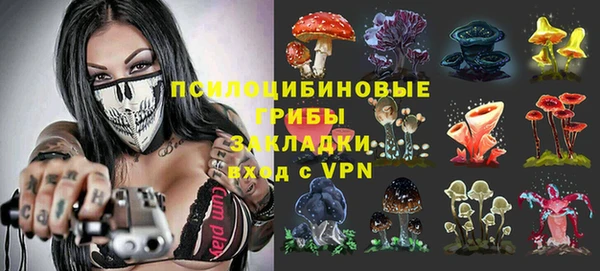 ПСИЛОЦИБИНОВЫЕ ГРИБЫ Коряжма