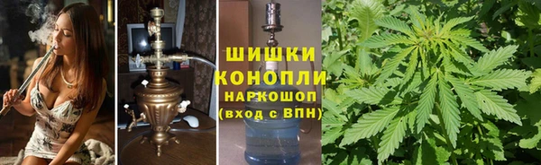ПСИЛОЦИБИНОВЫЕ ГРИБЫ Коряжма